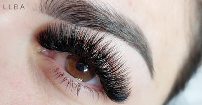 A Quick Brief To 4 Common Types Of Premade Volume Lashes